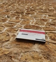 torre dona blanca 9
